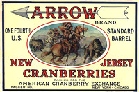 Arrow Brand Cranberry Ad - American Indian Buffalo Hunt