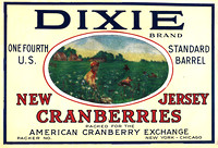 Dixie Brand Cranberry Label - Field