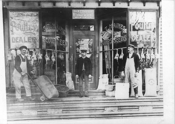 Photo_ S.T.Haines Store