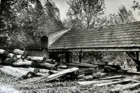 Mickle, Everett - Sawmill at Oliphants Mill - 1910
