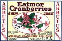 Arbutus Brand Cranberry Ad - Flowers