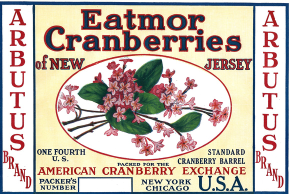 Arbutus Brand Cranberry Ad - Flowers