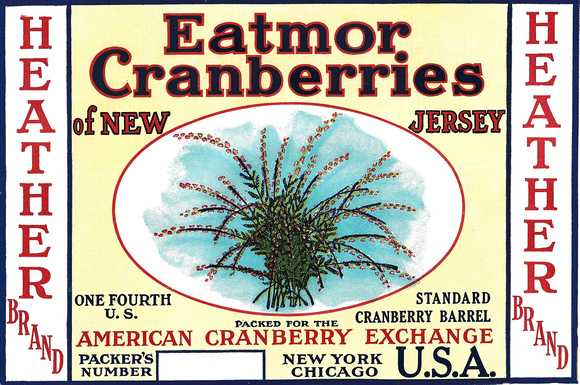 Jersey Belle Brand Cranberry Label - heather